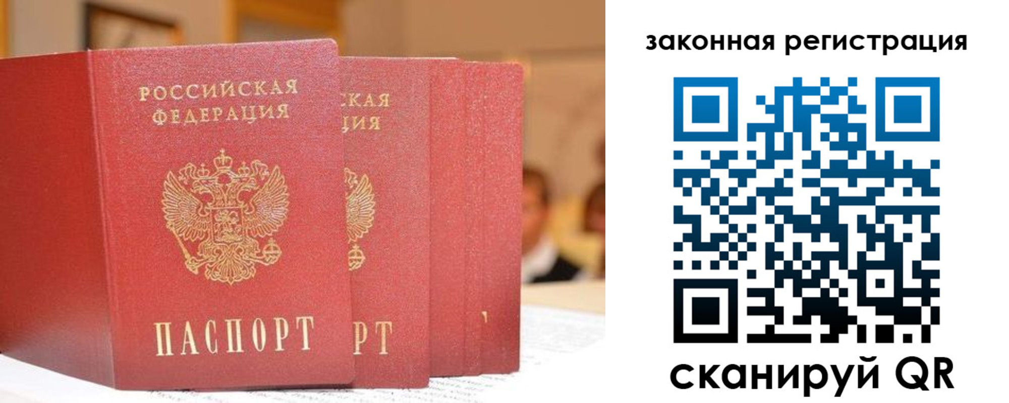прописка поиск в Гусеве